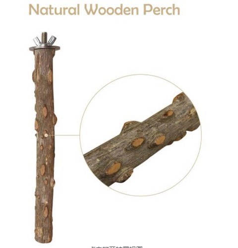 Parrot toy bird supplies, chili wood perch bar stand, various sizes, bird cage accessories, nail and beak grinding tools