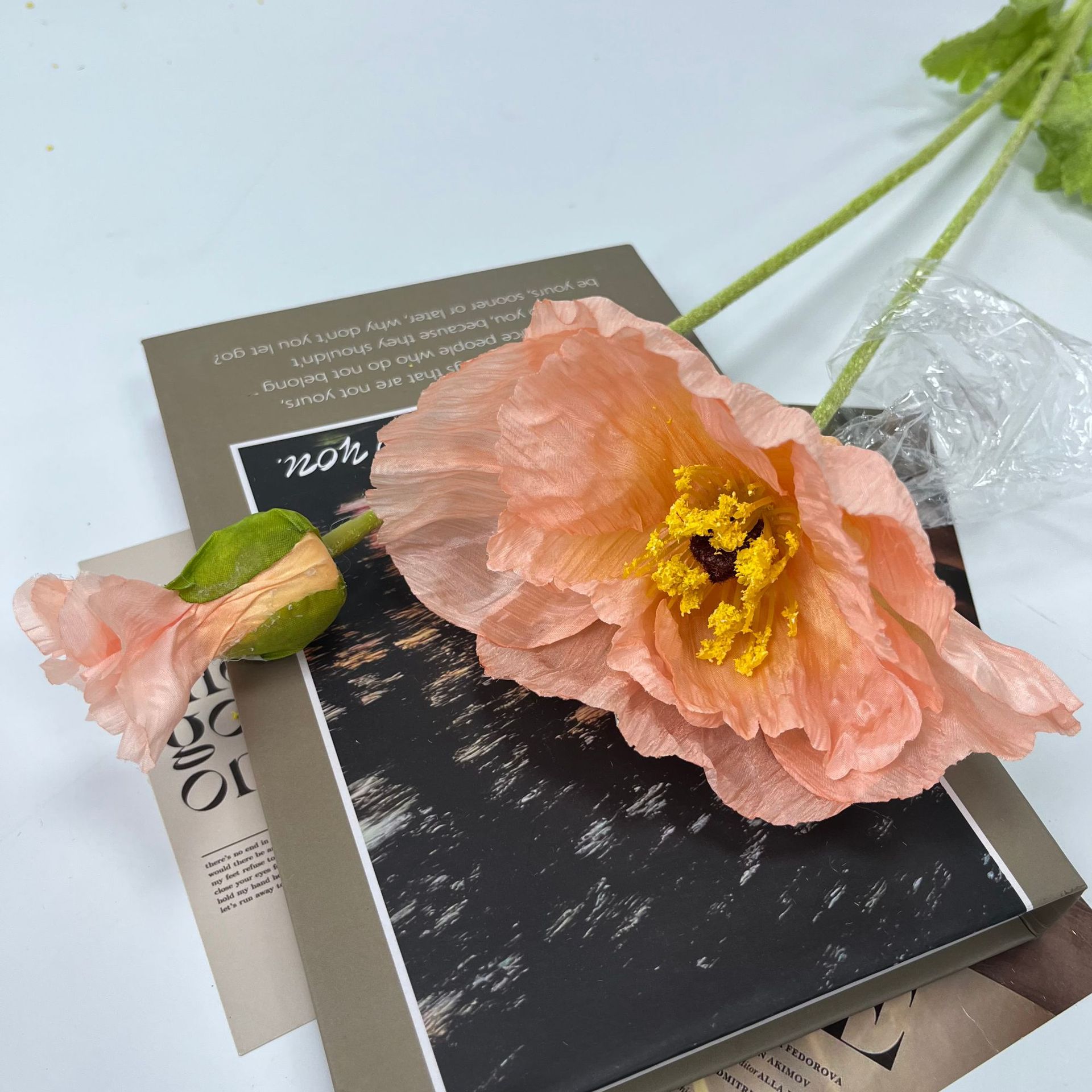 대형 포피 산호