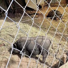 �Bֳ�r�u����Ȧ����\�����W�B�u���ӾWɢ�B�u�F�z�W�B�u�W�S��