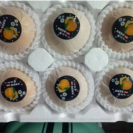 西式糕点;饼干;膨化