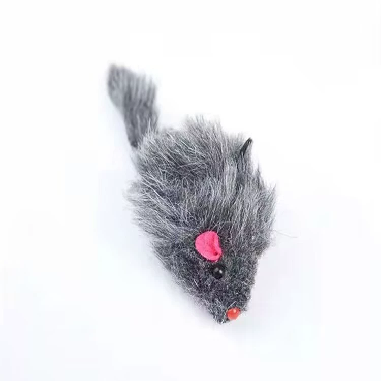 Plush realistic lifelike toy, cat, pet