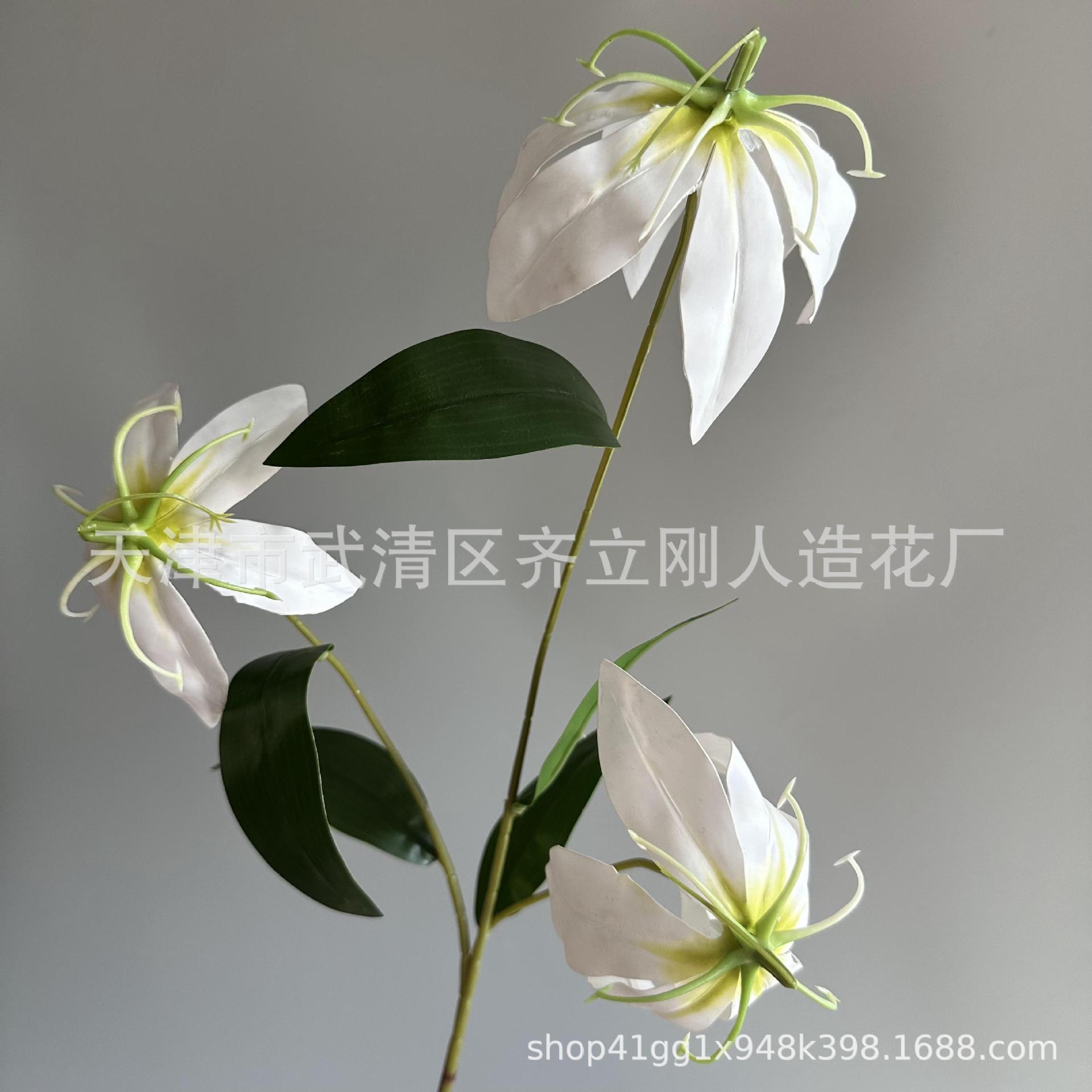 6호