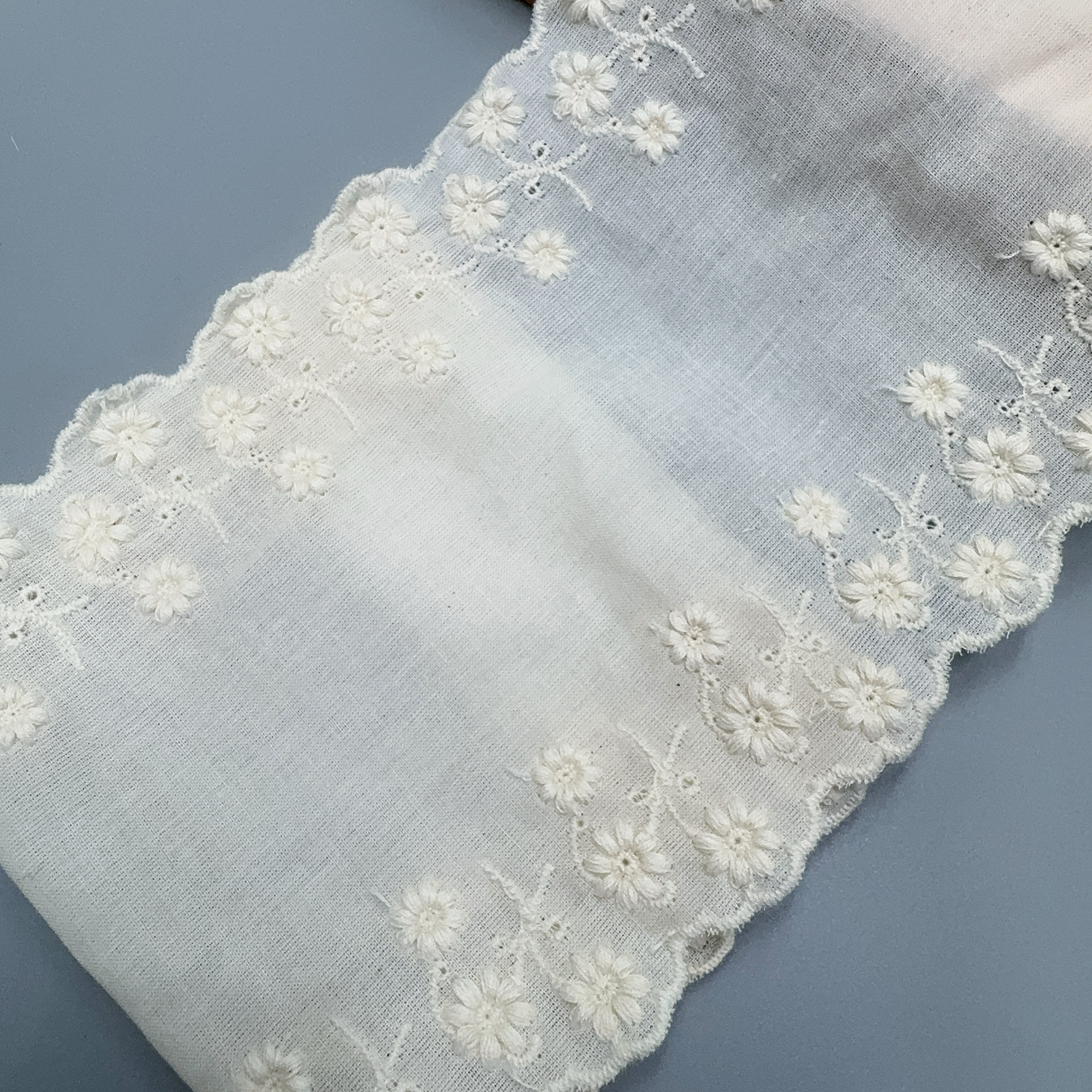 微信图片_20250307072957