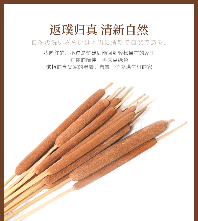 蒲棒-水蜡烛_03.jpg
