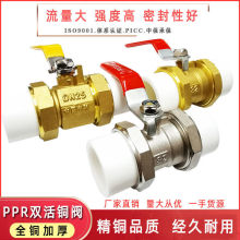 �~��PPR�p��������204��256��321����ˮ���_�Pֱ�N���l