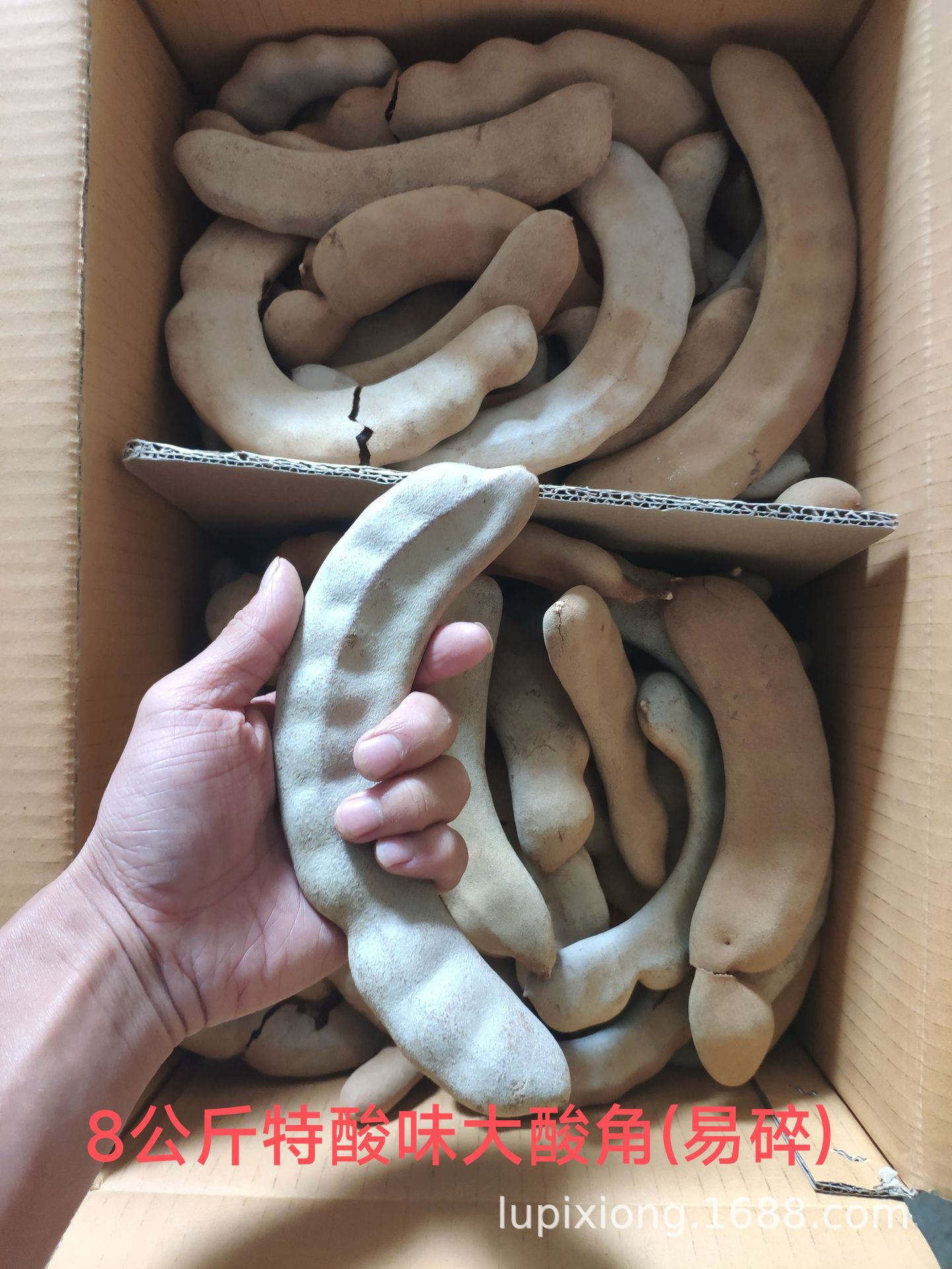 微信图片_20230710094853