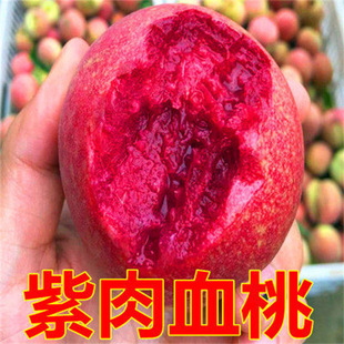 �޽��S����������2̖����5̖�Ҙ���������ͺ���ͥԺ�Nֲ����Y��