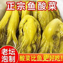 【整箱6大袋】正宗鱼酸菜湖南老坛特产泡菜袋装下饭调料腌制咸菜