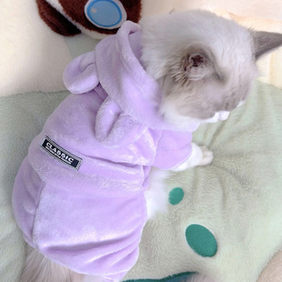 ����ɺ���q�B�w���ﶬ�Ӻ�ů̩�ϱ���؈�����_���p��q�H�w����