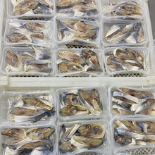 深海金鲳鱼 金昌鱼干特产 白仓肉昌银鲳鱼金鲳鱼纯肉250克一盒 批