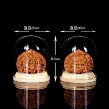 ������������Һ��J�ϙ��΢���^չʾ͸��������