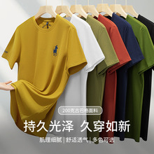 ��ɭ��2025�ļ��¿�_�̽���ʿ�A�It���Ű͸������T�����S��