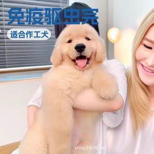 ��ë��Ȯ���w����С����äȮ����ȮѲ��Ȯ�o�lȮ�����ͥ��HȮ