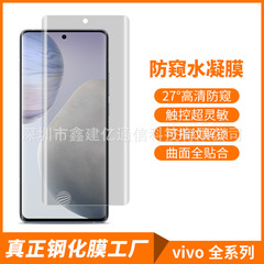 進/口適用於vivo X60Pro防窺膜IQOO10Pro水凝膜貼膜X50Pro指紋解