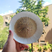 PӸֵͱP;ˮPɹPcıPӼø߼Д[l