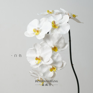 ���Sֱ�N �����Ʒ�|�����m8�^ ���Q���l �Ҿӿ͏d�m���[������