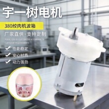 380 大功率微型减速马达 高转速洗杯机洗衣机电机 微型电器电机