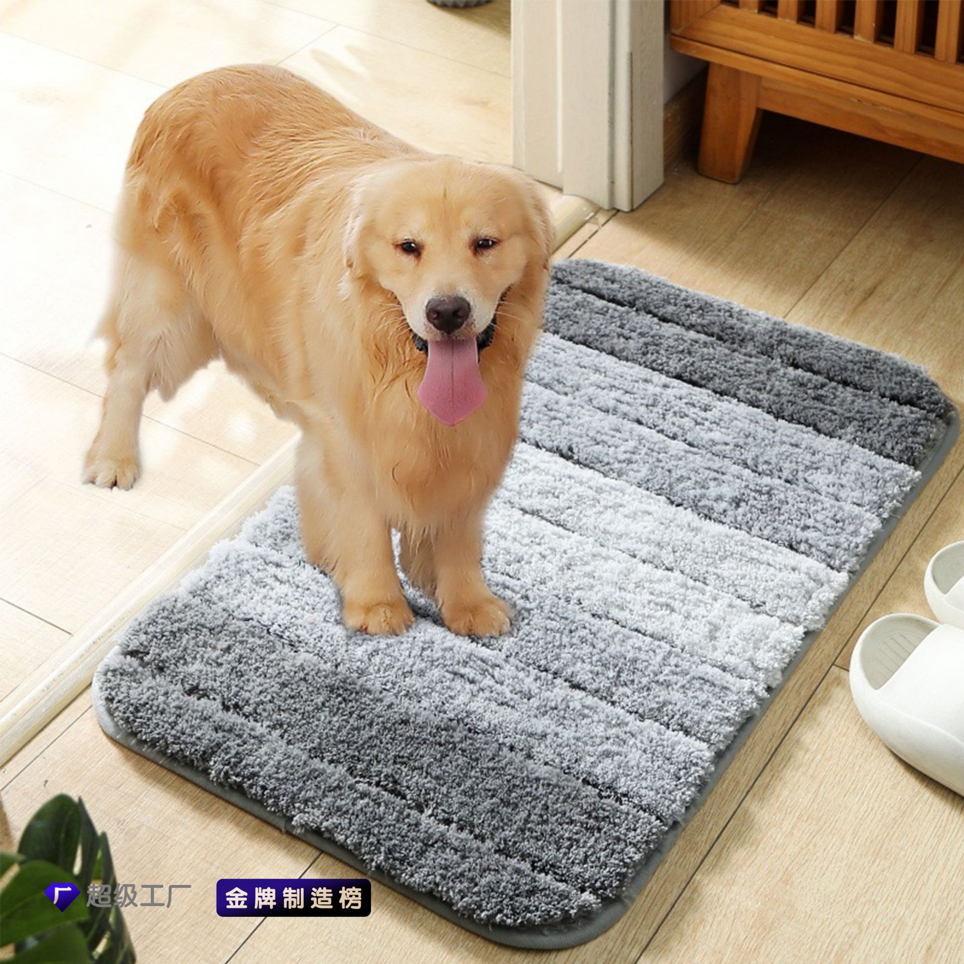 Transfronterizo Chenille puerta absorción pie pie estera de puerta estera de piso para mascotas gruesa encriptada estera de piso de baño de color gradiente