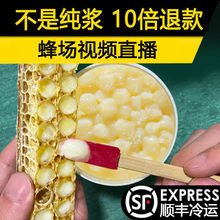 22{2.8%{Ȼʝ{Ʒ|rԮaҰr