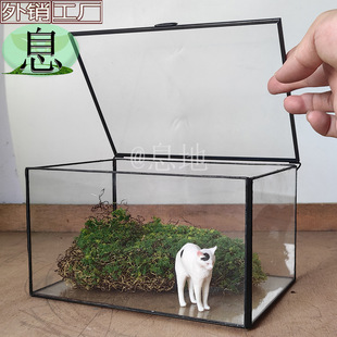 15504 Free Shipping Geometric Micro Landscape Potted Glass Vase Succulent Plant Glass Flower Room Ornament Everlasting Flower Box