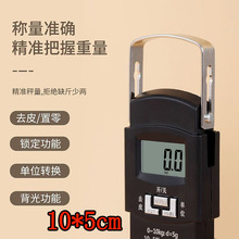 高精度手提电子秤小型便携式家用迷你称鱼器手