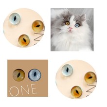 玻璃眼半球体手工猫咪宠物眼睛配件椭圆细瞳孔装饰
