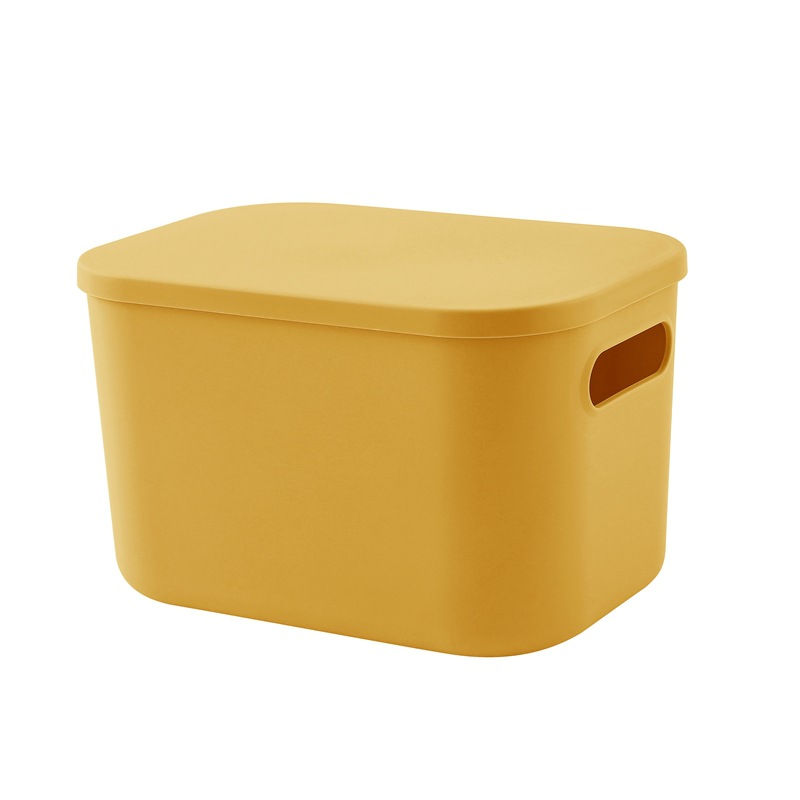 Cesta de almacenamiento para artículos diversos, snacks, cosméticos, caja de almacenamiento, organizador de ropa para dormitorio, caja de almacenamiento de escritorio con tapa de plástico