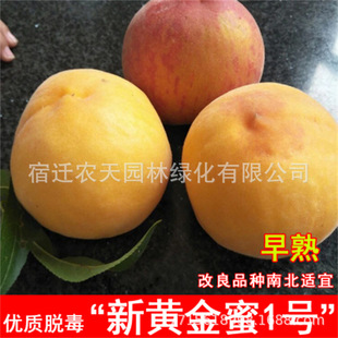 �S��������޽ӵ�����Ʒ�N�Ҙ����Ϸ������Nֲ����������ˮ����