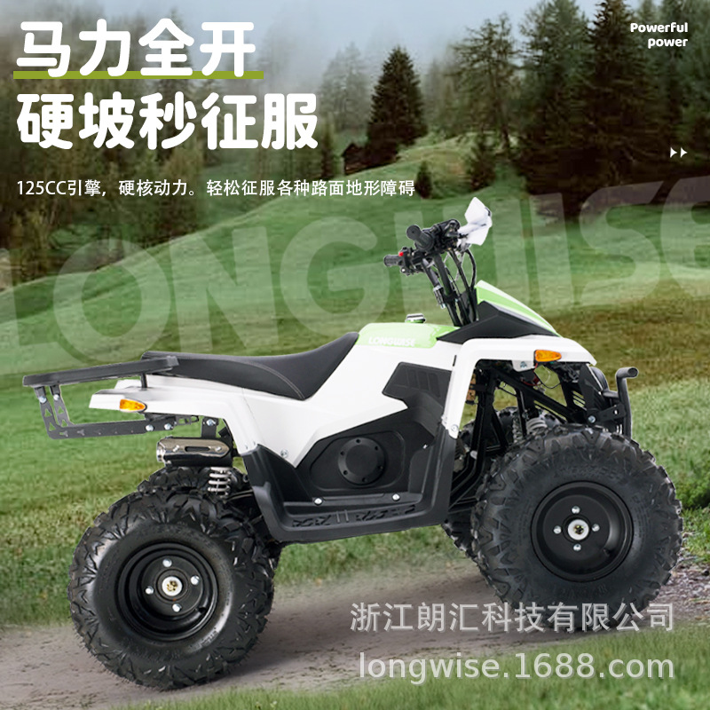 Nuevo 125CCATV Adult ATV Motocross de cuatro ruedas Vehículo todo terreno Pantalla LCD ATV