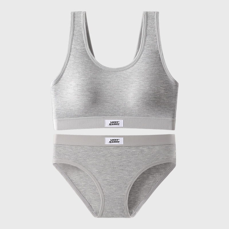 Nuevo traje de sujetador de las mujeres sexy cómodo espalda pequeño pecho push up anti-exposición deportes bottoming ropa interior