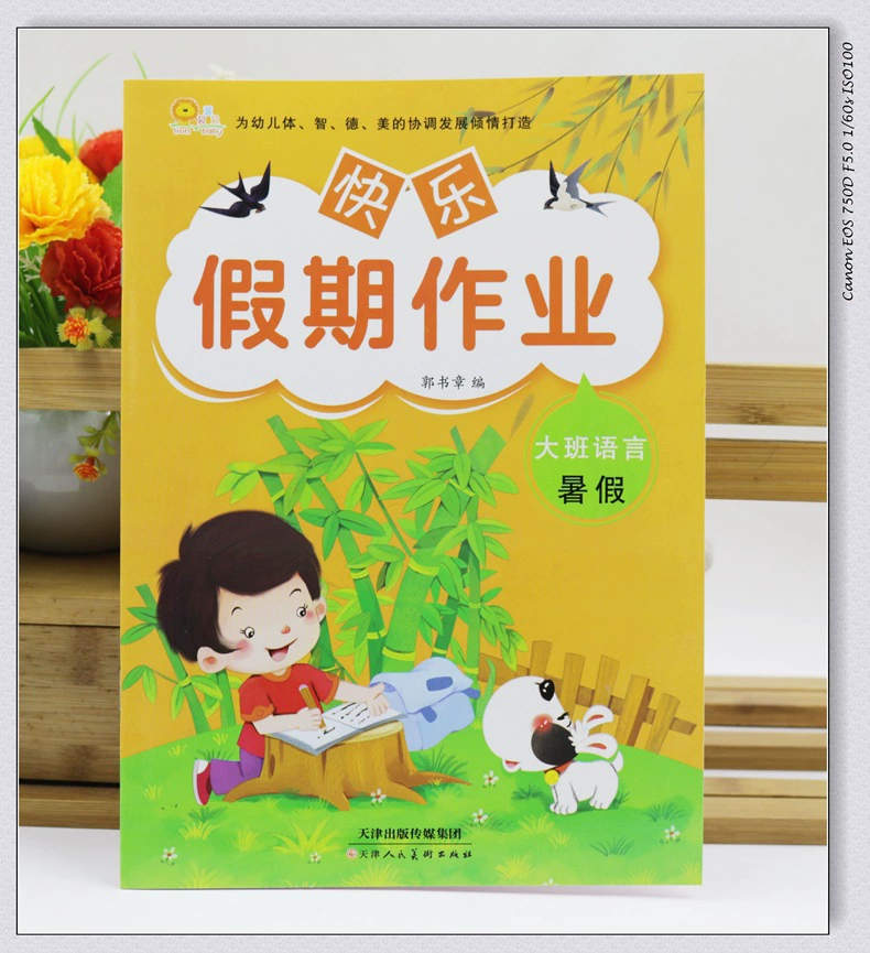 Preschool Math for kindergarten, practice, addition and subtraction