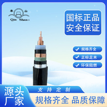 �㽭����YJV-223*25ƽ���Љ�26/35KVXLPE�^��PVC�o��������|��