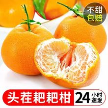 四川丑橘春见耙耙柑橘子新鲜水果甜桔子10斤沃柑皇帝柑整箱当季橙