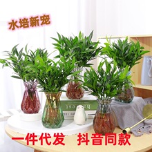 ������ˮ��ˮ�B����ֲ��͏d�k�����Ҿ�����Gֲ�����ļ������