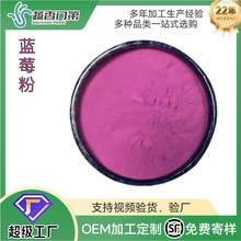 现货供应蓝莓粉速溶蓝莓果粉蓝莓冻干粉食品烘焙原料散装