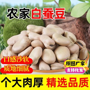 ���Q�� ������؛��Ƥ�Q���_�h��������Ȼ����m�����r��ֱ�N����