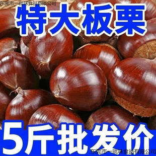 ����ժ������������_���������r������|�����|���F�F��