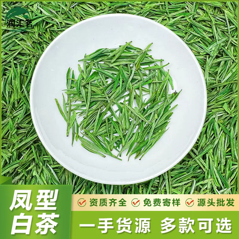 2025年珍稀白茶安吉新茶特级一芽一叶正味兰花香高山凤型白茶散批
