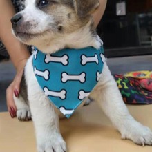 �羳�����ˮ�����ǽ��Ȧ��������ɐۇ���؈�����l�ļ�ͨ��