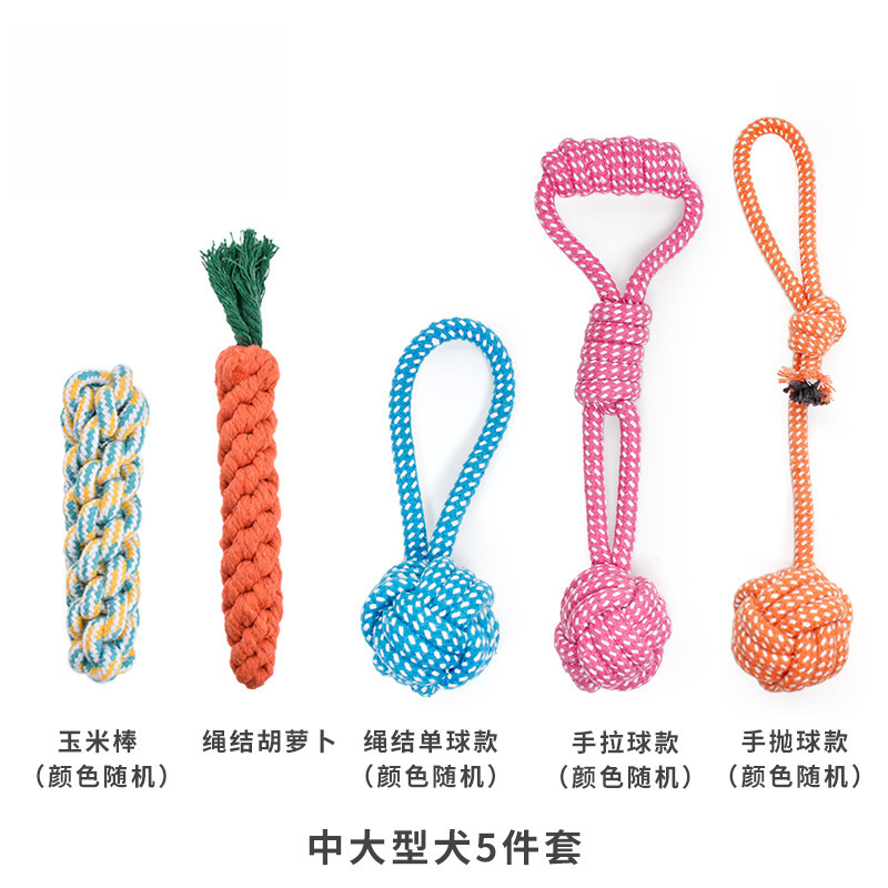 중형견, 대형견용 5종 세트