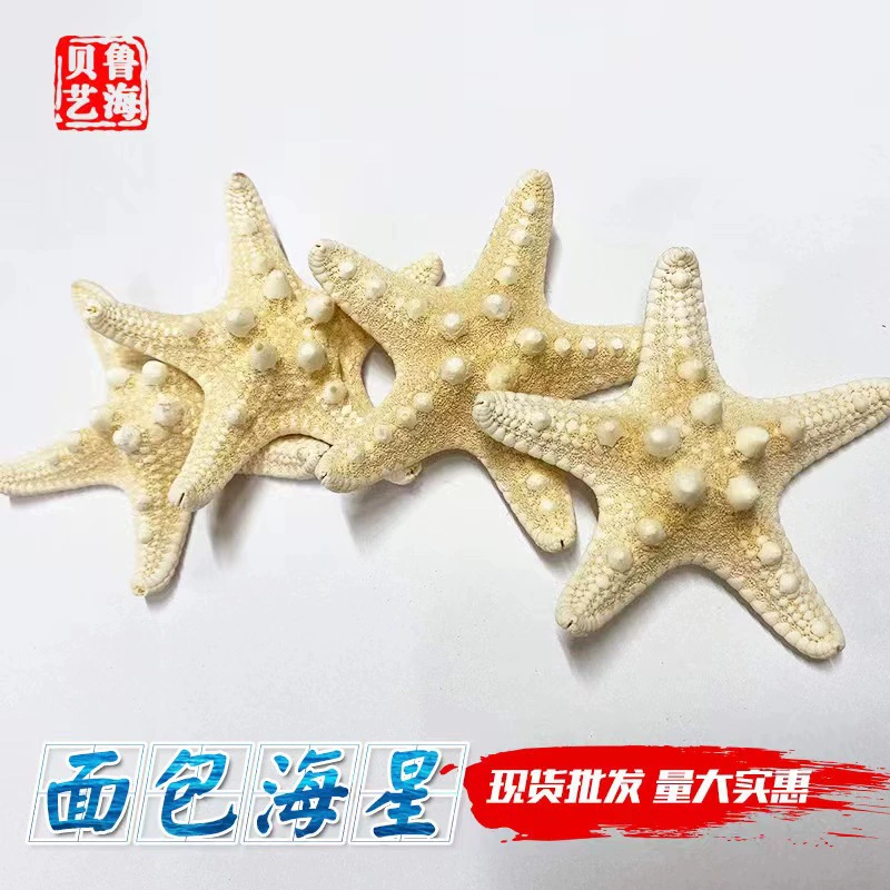 Игрушка, белые украшения, образец, хлеб, морская звезда