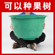 塑料大花盆加厚超特大号码种果树盆庭院家用龙缸特价处理清仓包邮