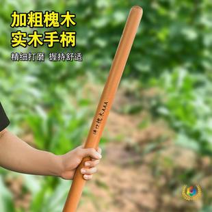 ���z�^��Ӳľ���L��ľ�ֱ��F�@ľ�����^�����r���󻱌�ľ������ľ