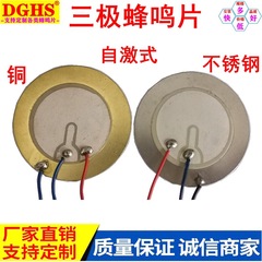 直径35mmの銅三極ブザーを供給しています。