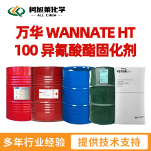 �� HT100 �� WANNATE HT 100 ���������̻��� HDI������