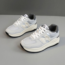 XBL5740Ů2025¿n͸ⱡWinsٴn