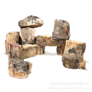 Manufacturer Wholesale Natural Wood Fossil Landscaping Stone Fish Tank Water and Land Tank Courtyard Home Micro Landscape Stone Ornaments