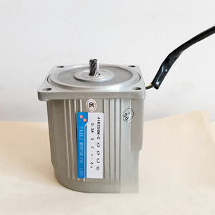 25W Miniature Fixed Speed Motor 4Ik25Gn-C 220V [Matching 4Gn Reduction Gearbox]