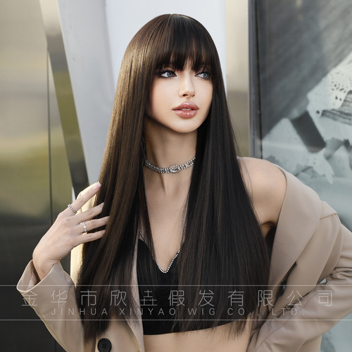 Foreign trade European and American fashion long hair wig for women black brown long straight hair simulation full head wig factory wholesale