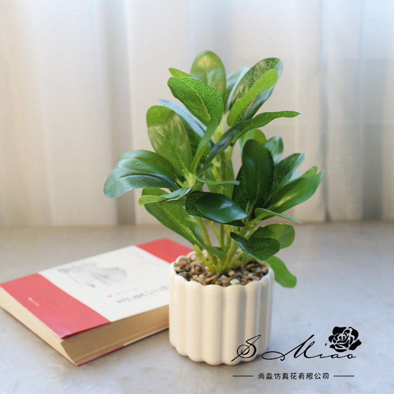 Simulación de hojas de banyan pequeñas decoraciones creativas bonsai fabricantes de decoración directa de plantas verdes artificiales falsas flores falsas de maceta de simulación image 4